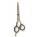 Cutting scissors 6" Silver